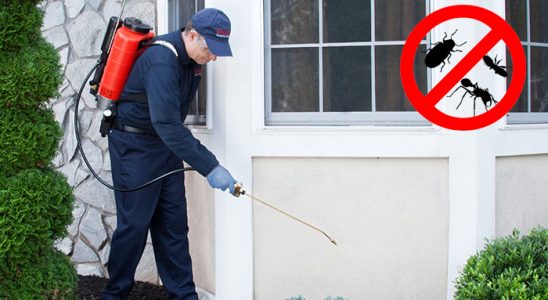Seferihisar Fare İlaçlama böcek ilaçlama ve haşere kontrolü — ilaclama-tr.com